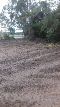 Imagem Imóvel com 1 Quarto à Venda, 8.177 m² em Tijuco Preto - Quadra