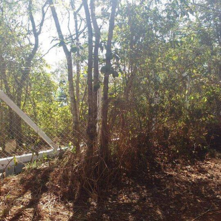 Imagem Chácara à Venda, 3.220 m² em Conjunto Alvorada - Uberlândia