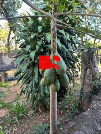 Imagem Casa de Condomínio com 1 Quarto à Venda, 140 m² em Condomínio Retiro Do Chalé - Brumadinho