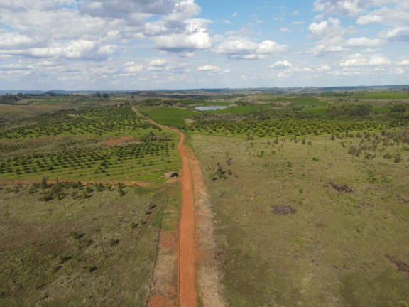 Imagem Fazenda à Venda, 399 m² em Centro - Santa Rosa Da Serra Imagem Fazenda à Venda, 399 m² em Centro - Santa Rosa Da Serra