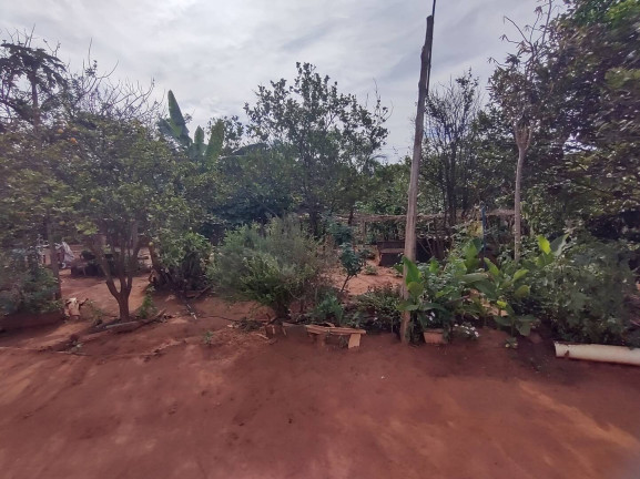 Imagem Chácara à Venda, 200 m² em Saraiva - Uberlândia Imagem Chácara à Venda, 200 m² em Saraiva - Uberlândia