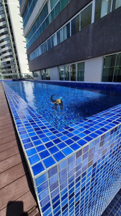 Imagem Apartamento com 2 Quartos à Venda, 103 m² em Horto Florestal - Salvador