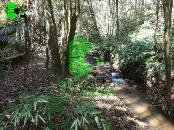 Imagem Fazenda à Venda, 31 m² em Pinhalzinho - Sto Antônio Do Pinhal - Santo Antônio Do Pinhal Imagem Fazenda à Venda, 31 m² em Pinhalzinho - Sto Antônio Do Pinhal - Santo Antônio Do Pinhal