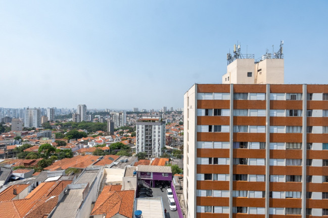 Imagem Apartamento com 3 Quartos à Venda, 84 m² em Cambuci - São Paulo Imagem Apartamento com 3 Quartos à Venda, 84 m² em Cambuci - São Paulo