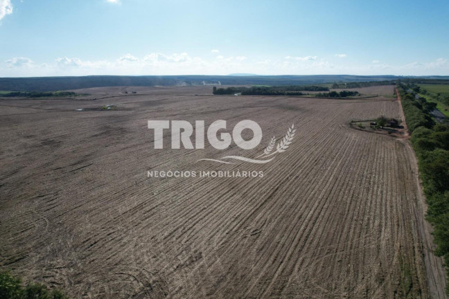 Imagem Fazenda à Venda, 90 m² em Zona Rural - Santa Rosa De Viterbo Imagem Fazenda à Venda, 90 m² em Zona Rural - Santa Rosa De Viterbo