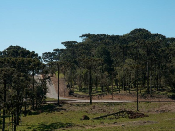 Imagem Imóvel com 3 Quartos à Venda, 288 m² em Centro - Canela Imagem Imóvel com 3 Quartos à Venda, 288 m² em Centro - Canela