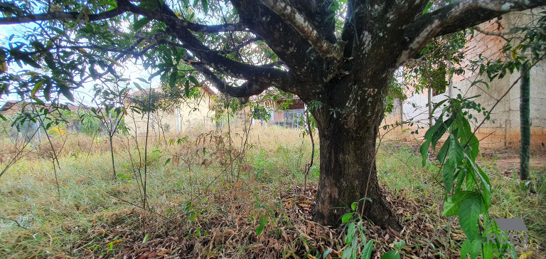 Imagem Terreno à Venda, 438 m² em Fernão Dias - Esmeraldas Imagem Terreno à Venda, 438 m² em Fernão Dias - Esmeraldas