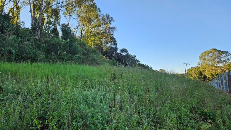Imagem Fazenda à Venda, em Zona Rural - Araucaria Imagem Fazenda à Venda, em Zona Rural - Araucaria