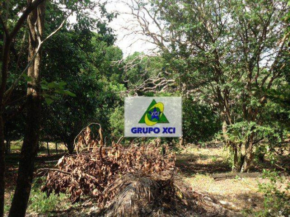 Chácara à Venda, 8.922 m² em Vila Pinheiro - Mogi Guaçu