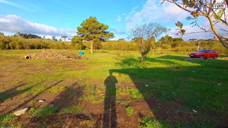 Imagem Chácara à Venda, 32.800 m² em Ambrósio - Tijucas Do Sul