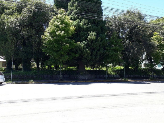 Terreno à Venda, 2.700 m² em Centro - Canela