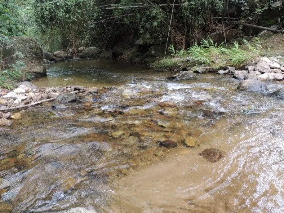 Imagem Imóvel à Venda, em Centro - Cruzeiro Imagem Imóvel à Venda, em Centro - Cruzeiro