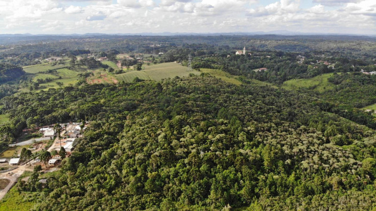 Imagem Terreno à Venda, 19.600 m² em Colônia Faria - Colombo Imagem Terreno à Venda, 19.600 m² em Colônia Faria - Colombo
