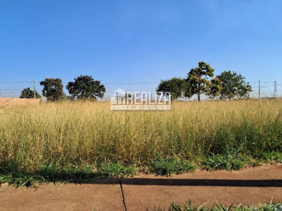 Imagem Terreno à Venda, 309 m² em Loteamento Jardim Ipiranga - Uberaba Imagem Terreno à Venda, 309 m² em Loteamento Jardim Ipiranga - Uberaba