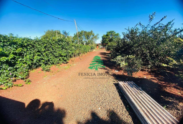 Imagem Chácara com 3 Quartos à Venda, 3.870 m² em Aparecidinha - Santa Terezinha De Itaipu