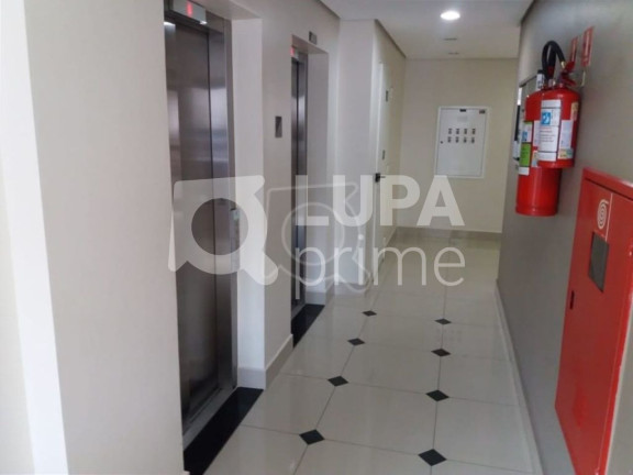 Imagem Apartamento com 1 Quarto à Venda, 42 m² em Vila Paulicéia - São Paulo Imagem Apartamento com 1 Quarto à Venda, 42 m² em Vila Paulicéia - São Paulo