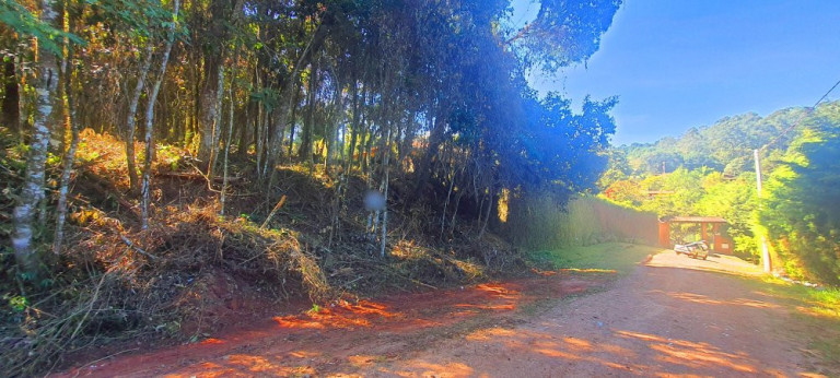 Imagem Imóvel à Venda, 700 m² em Recanto Dos Palmares - Atibaia