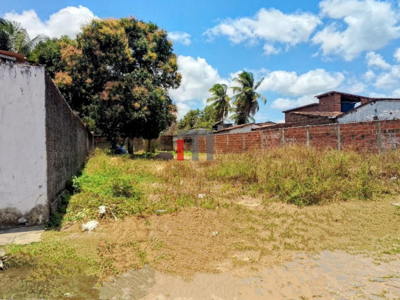 Imagem Terreno à Venda, 530 m² em São José - Macaíba Imagem Terreno à Venda, 530 m² em São José - Macaíba