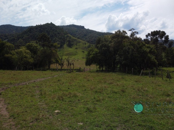 Imóvel à Venda,  em Interior - Bom Retiro