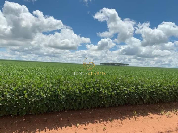 Imagem Imóvel com 3 Quartos à Venda, 16.943 m² em Zona Rural - Primavera Do Leste Imagem Imóvel com 3 Quartos à Venda, 16.943 m² em Zona Rural - Primavera Do Leste