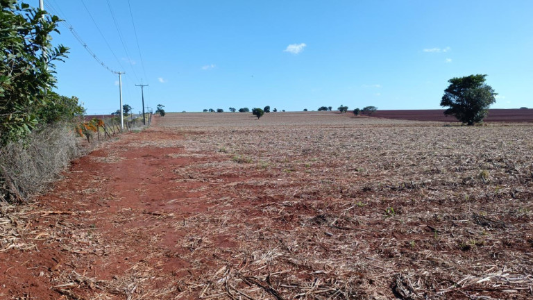 Imagem Chácara à Venda, 29 m² em Rural - Avaré Imagem Chácara à Venda, 29 m² em Rural - Avaré