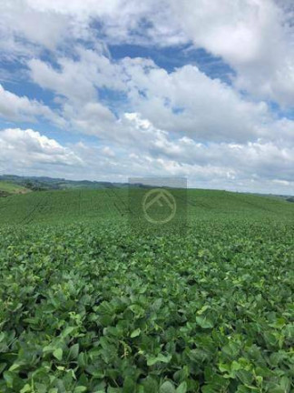 Imagem Terreno à Venda, 193.600 m² em água Amarela - Antônio Olinto Imagem Terreno à Venda, 193.600 m² em água Amarela - Antônio Olinto