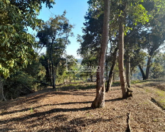 Imagem Terreno à Venda, 5.850 m² em Ressaca - Ibiúna
