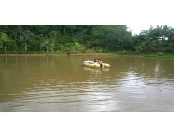 Imagem Chácara à Venda, 51.000 m² em Rio Do Meio - Camboriu Imagem Chácara à Venda, 51.000 m² em Rio Do Meio - Camboriu
