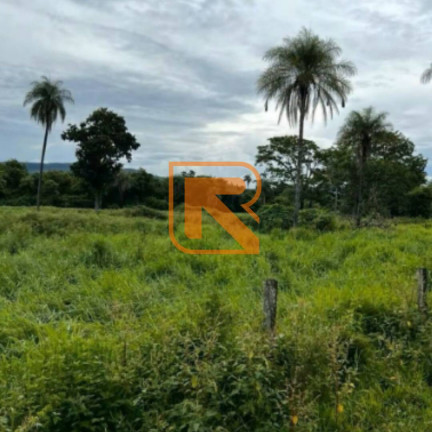 Imagem Fazenda à Venda, 1.030.000 m² em Distrito Jk - Formosa Imagem Fazenda à Venda, 1.030.000 m² em Distrito Jk - Formosa