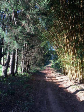 Imagem Fazenda à Venda, 940 m² em Dos Silva - Morungaba