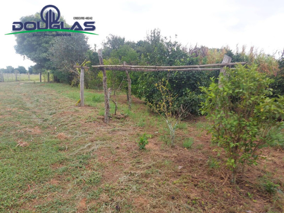 Imagem Chácara à Venda, 20.000 m² em Viamão Imagem Chácara à Venda, 20.000 m² em Viamão