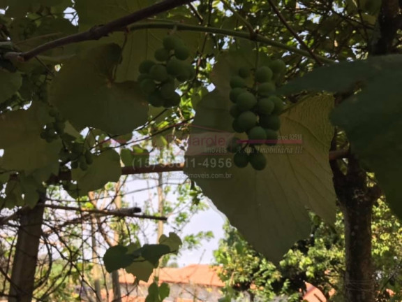 Imagem Chácara com 3 Quartos à Venda, 1 m² em Nova Rheata - Boituva Imagem Chácara com 3 Quartos à Venda, 1 m² em Nova Rheata - Boituva