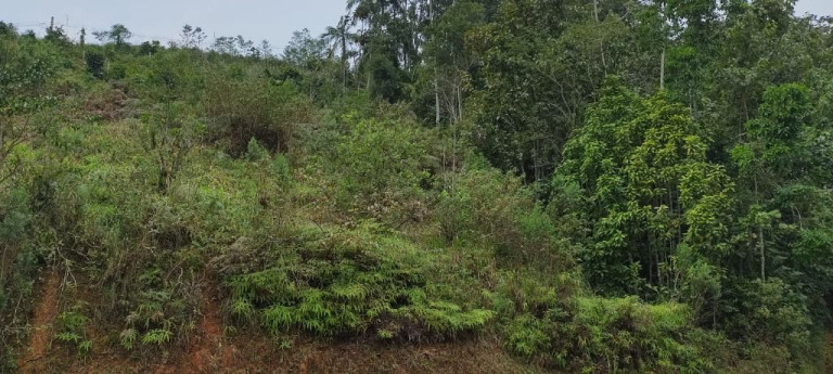 Imagem Terreno à Venda, 2.445 m² em Testo Central - Pomerode Imagem Terreno à Venda, 2.445 m² em Testo Central - Pomerode