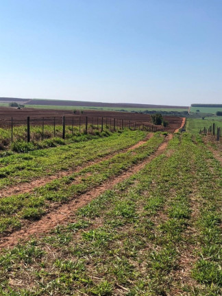 Imagem Imóvel à Venda, 2.042 m² em área Rural De Marília - Marília Imagem Imóvel à Venda, 2.042 m² em área Rural De Marília - Marília