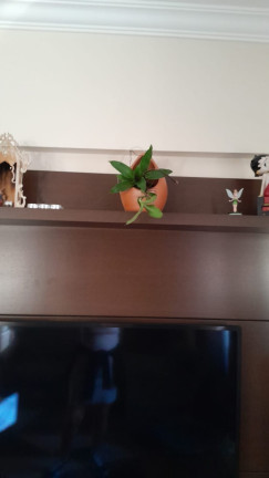 Imagem Apartamento com 1 Quarto à Venda, 57 m² em Taboão - São Bernardo Do Campo