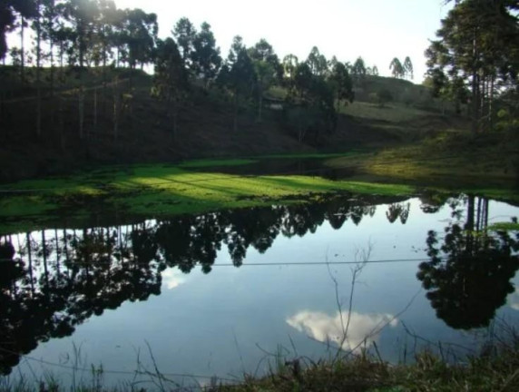 Imagem Fazenda à Venda, 3.000 m² em Centro - Tijucas Do Sul