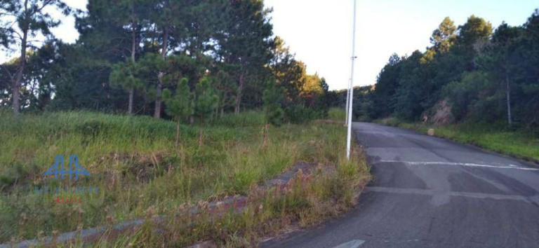 Imagem Terreno à Venda, 886 m² em Itacorubi - Florianópolis Imagem Terreno à Venda, 886 m² em Itacorubi - Florianópolis