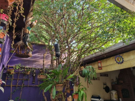 Imagem Sobrado com 2 Quartos à Venda, 154 m² em Paraíso - Santo André Imagem Sobrado com 2 Quartos à Venda, 154 m² em Paraíso - Santo André