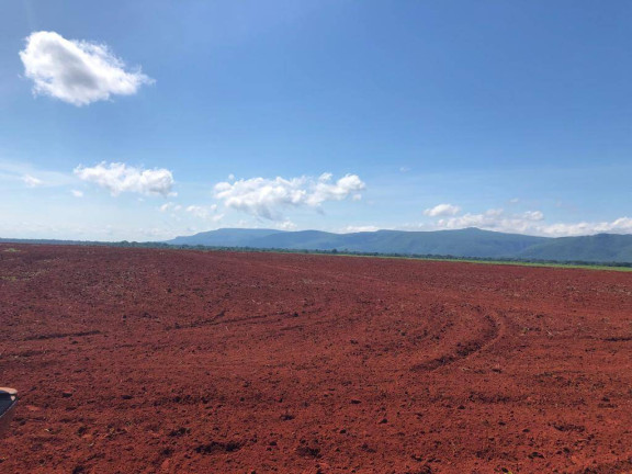 Imagem Fazenda à Venda, 15.000 m² em Mato Grosso Imagem Fazenda à Venda, 15.000 m² em Mato Grosso