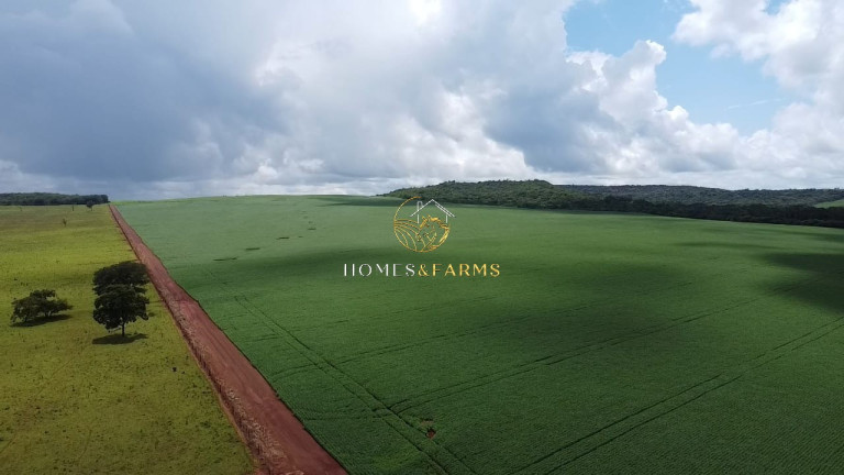 Imagem Imóvel com 3 Quartos à Venda, 1.349 m² em Centro - Primavera Do Leste Imagem Imóvel com 3 Quartos à Venda, 1.349 m² em Centro - Primavera Do Leste