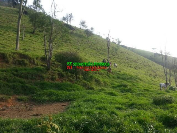 Imagem Chácara à Venda, 20.000 m² em São Francisco Xavier - São José Dos Campos Imagem Chácara à Venda, 20.000 m² em São Francisco Xavier - São José Dos Campos