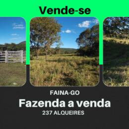 Fazenda à Venda, 237 m² em Zona Rural - Faina