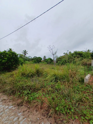 Imagem Terreno à Venda, 1.000 m² em Ipojuca - Ipojuca