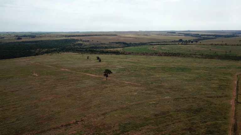 Imagem Fazenda à Venda, 220 m² em Zona Rural - Euclides Da Cunha Paulista Imagem Fazenda à Venda, 220 m² em Zona Rural - Euclides Da Cunha Paulista