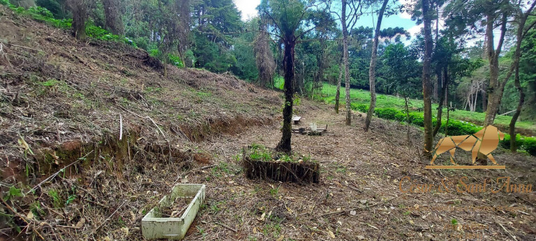 Imagem Terreno à Venda, 1.050 m² em Alto Da Boa Vista - Campos Do Jordão Imagem Terreno à Venda, 1.050 m² em Alto Da Boa Vista - Campos Do Jordão