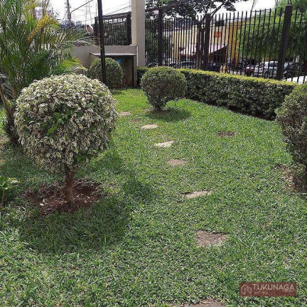 Imagem Apartamento com 2 Quartos à Venda, 57 m² em Butantã - São Paulo Imagem Apartamento com 2 Quartos à Venda, 57 m² em Butantã - São Paulo