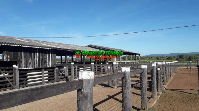 Imagem Fazenda à Venda, 1.200 m² em área Rural De Xinguara - Xinguara