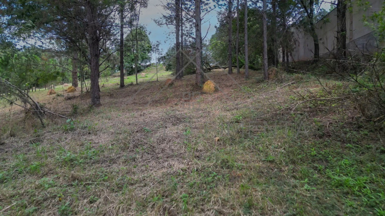 Imagem Terreno à Venda, 21.000 m² em Chácaras Alpina - Valinhos