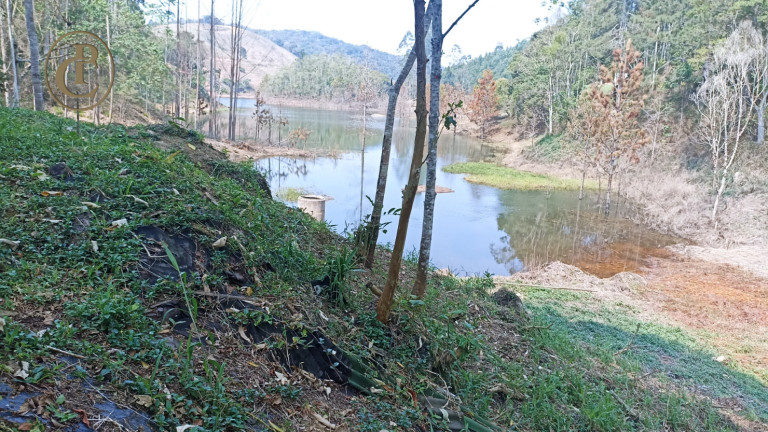 Imagem Chácara com 4 Quartos à Venda, 800 m² em Cedro - Paraibuna Imagem Chácara com 4 Quartos à Venda, 800 m² em Cedro - Paraibuna