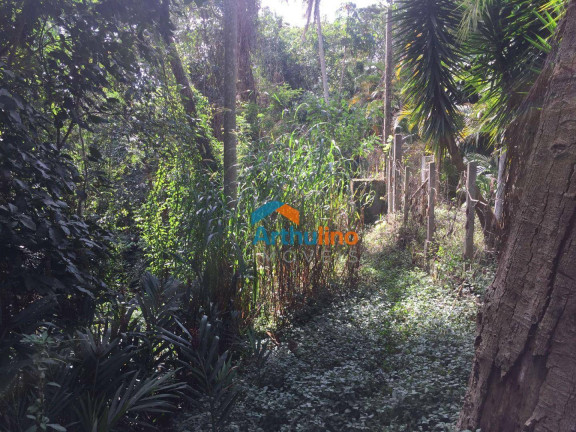 Imagem Terreno à Venda, 2.765 m² em Chácara Represinha - Cotia Imagem Terreno à Venda, 2.765 m² em Chácara Represinha - Cotia